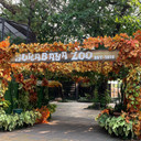 Kebun Binatang Surabaya Dikorupsi