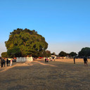Pungli di Alun-alun Kidul Yogyakarta