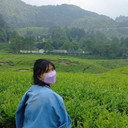Astuti Sari