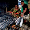 Ikan Cakalang