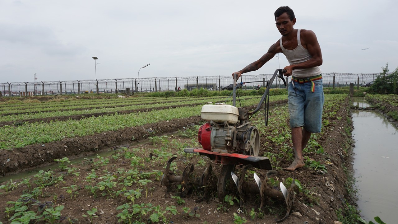 Petani dan Pesawat