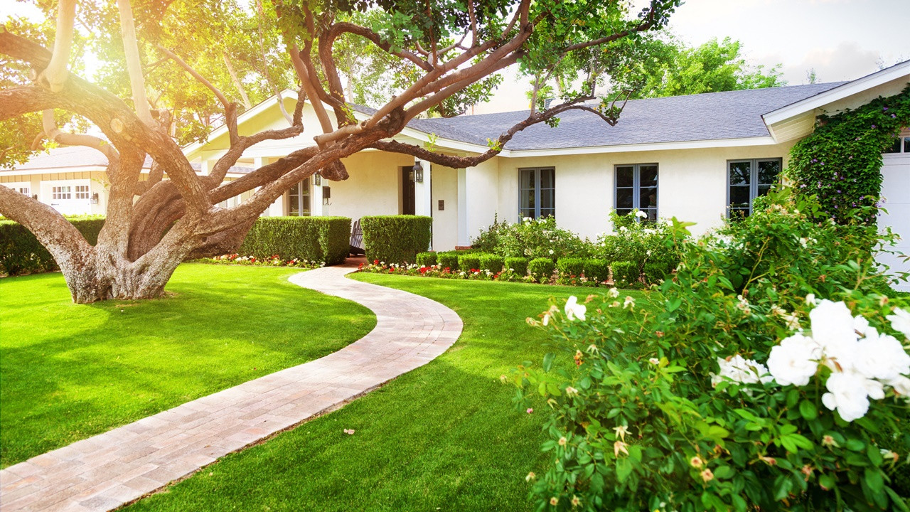 Ilustrasi Rumah Sehat