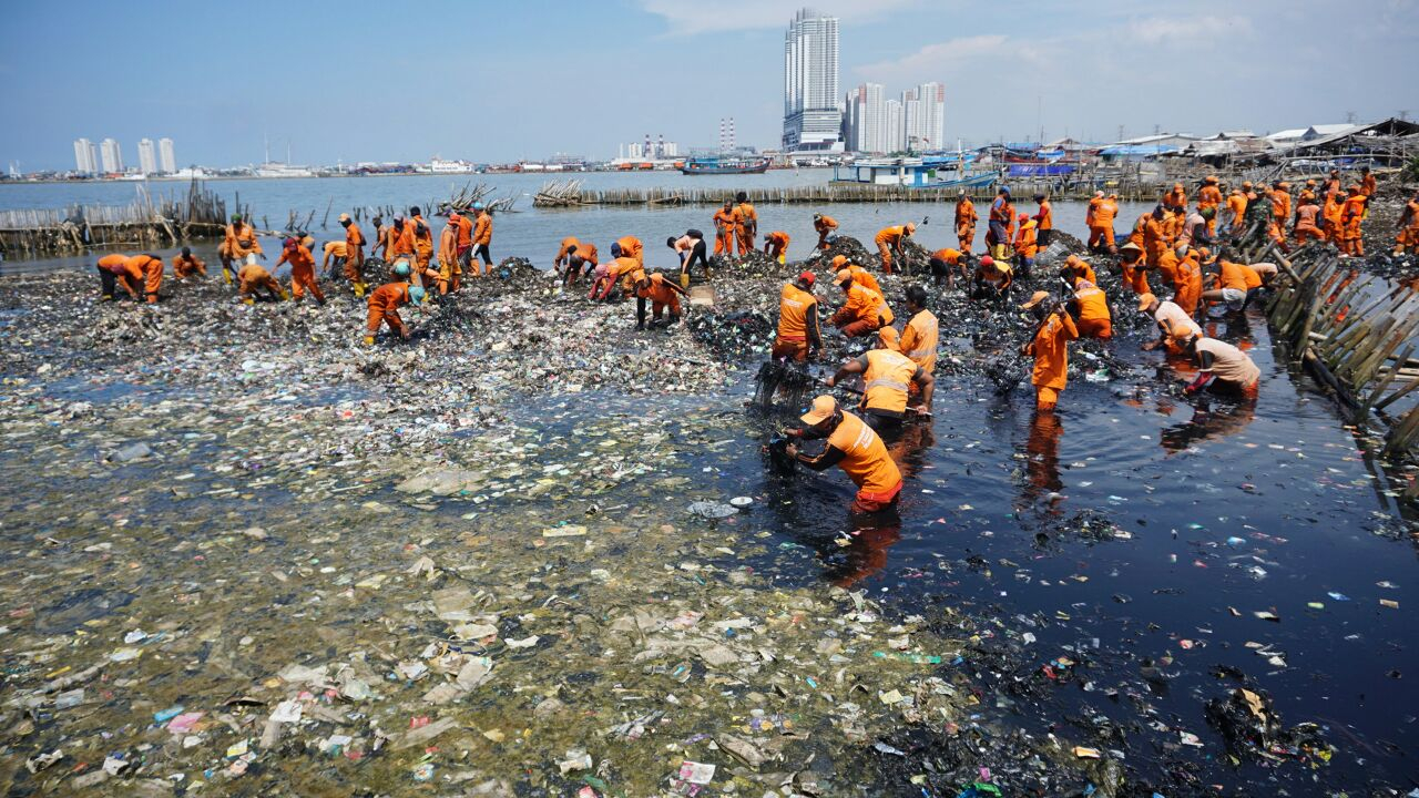kumplus- Lipsus Paracetamol- Teluk Jakarta