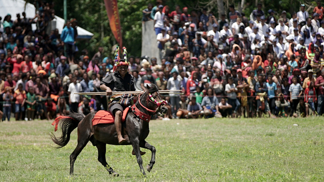 KONTEN TRAVEL Heritage Pasola, Sumba Barat, Nusa Tenggara Timur