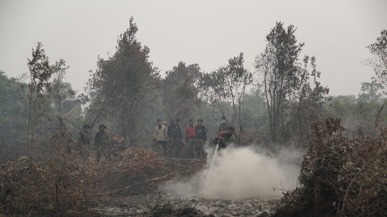 LIPSUS, Asap karhutla di Riau