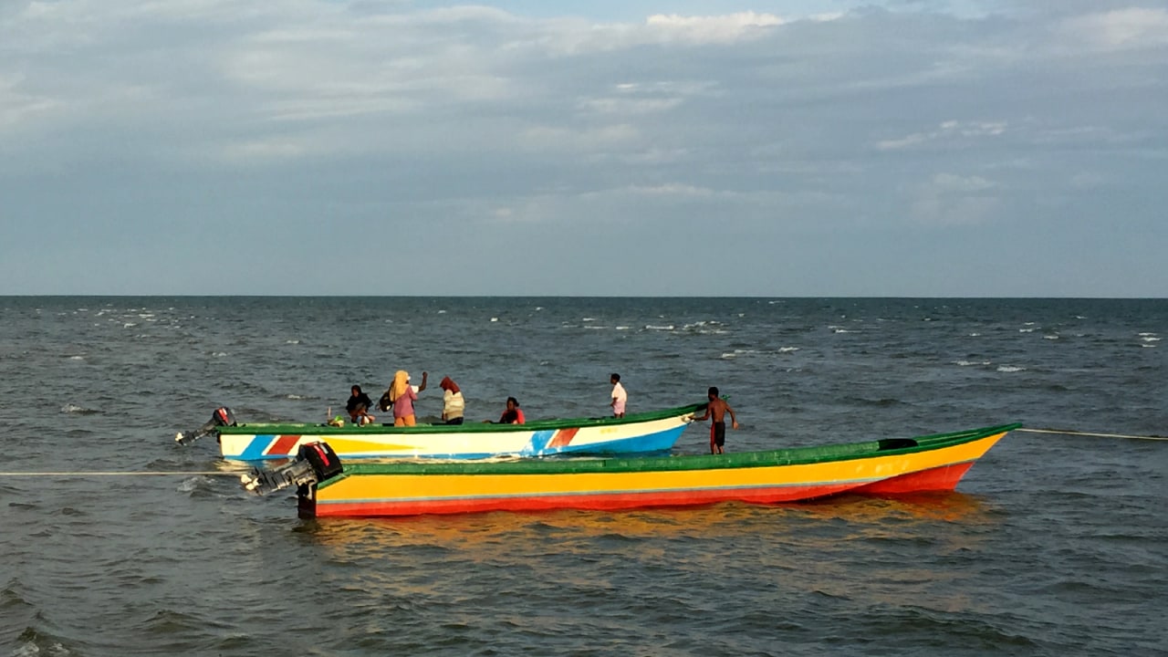 Papua - Ekspedisi Mangrove