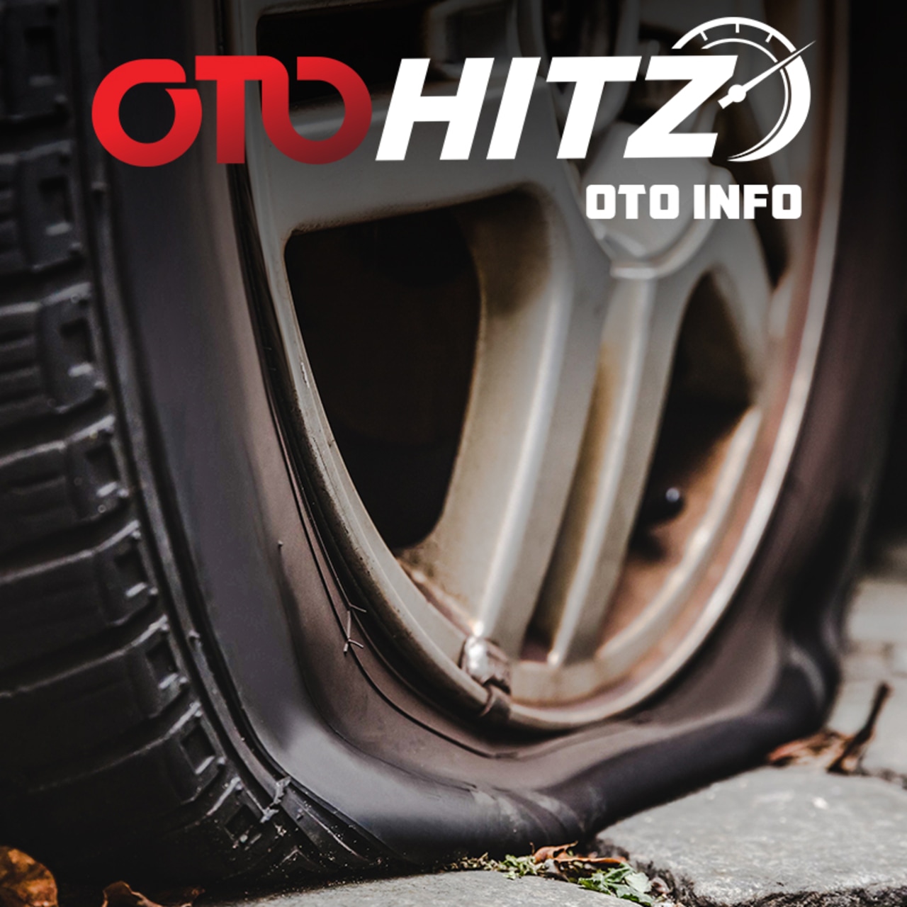 OTOHITZ-OTO Info