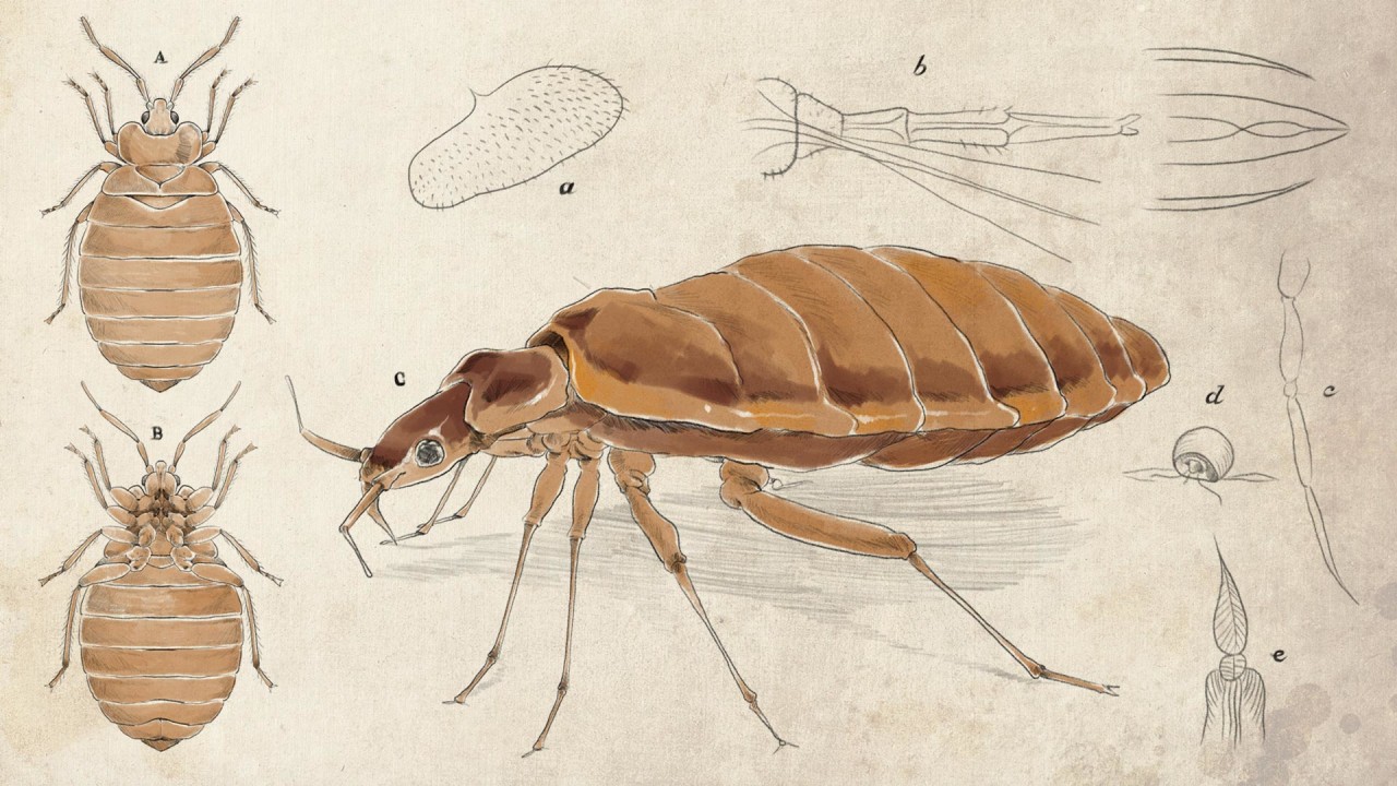 Kumplus cover fiksi Ratri Ninditya