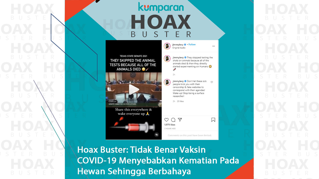 HoaxBuster- Vaksin COVID-19 Menyebabkan kematian pada hewan
