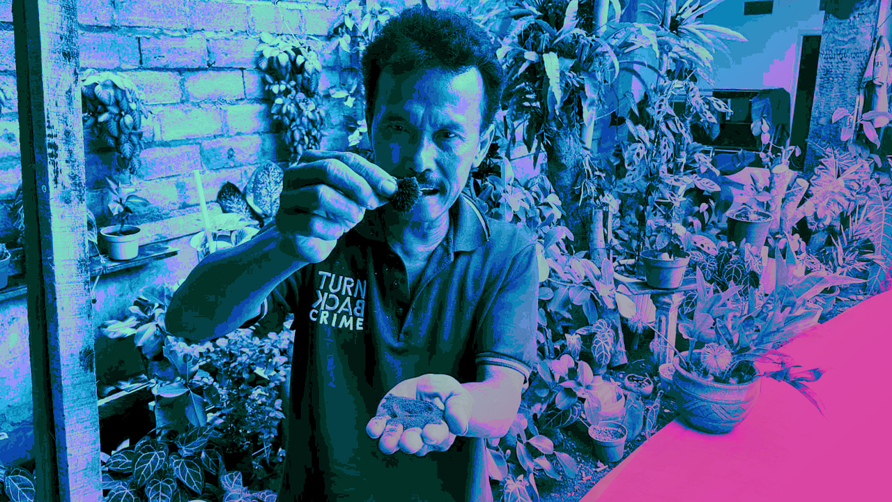 Tosan, rekan Salim Kancil.