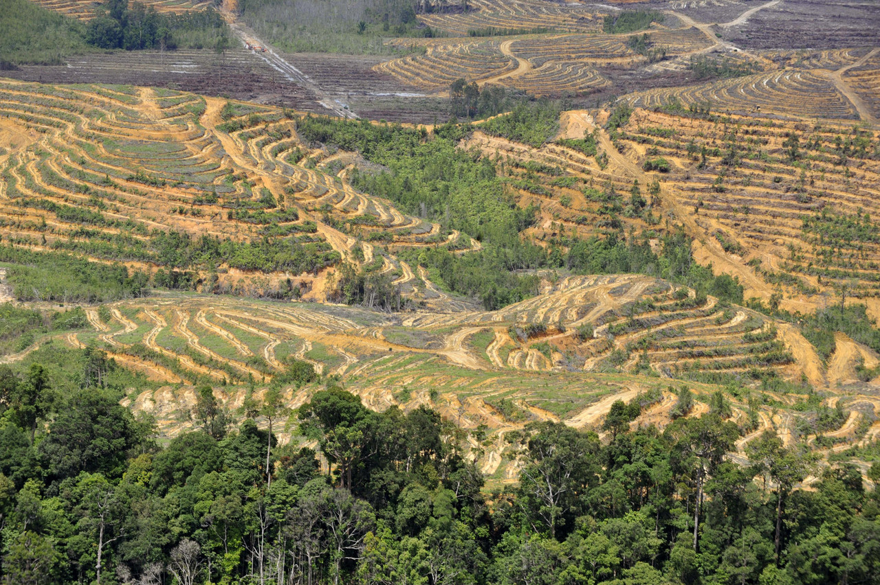 kumparan plus - kerusakan lingkungan