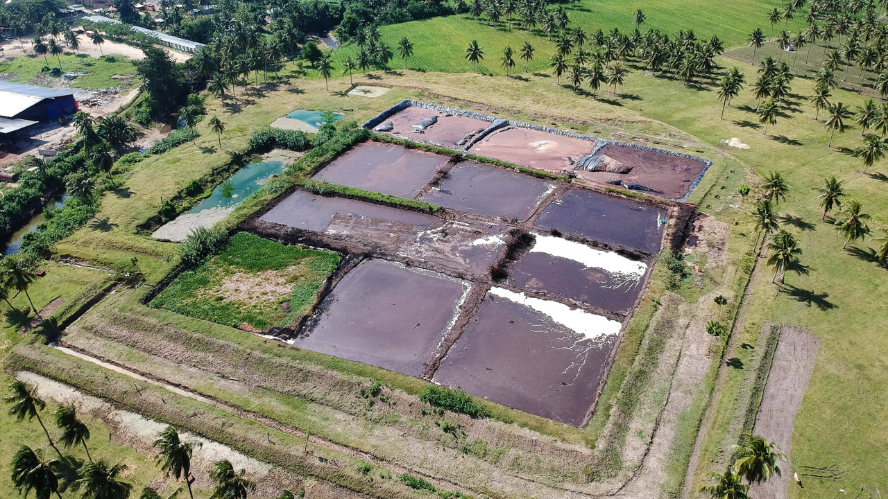 LIPSUS Kampung Tai