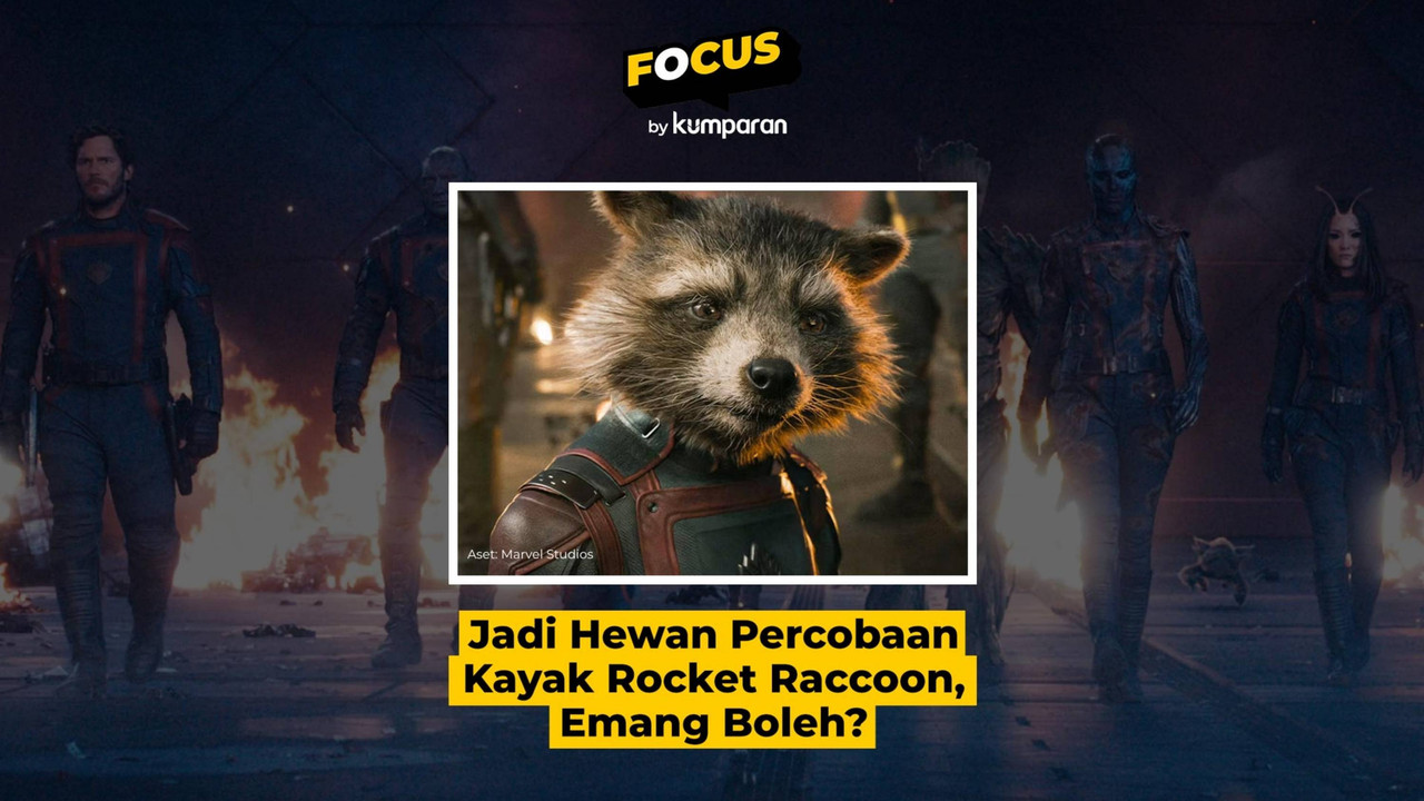 Hewan Rocket Racoon boleh jadi percobaan