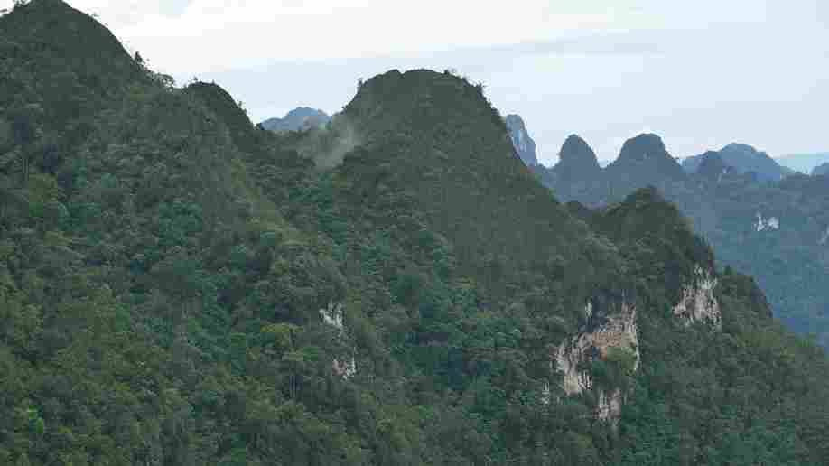 Kampung Merabu dan hutan desanya