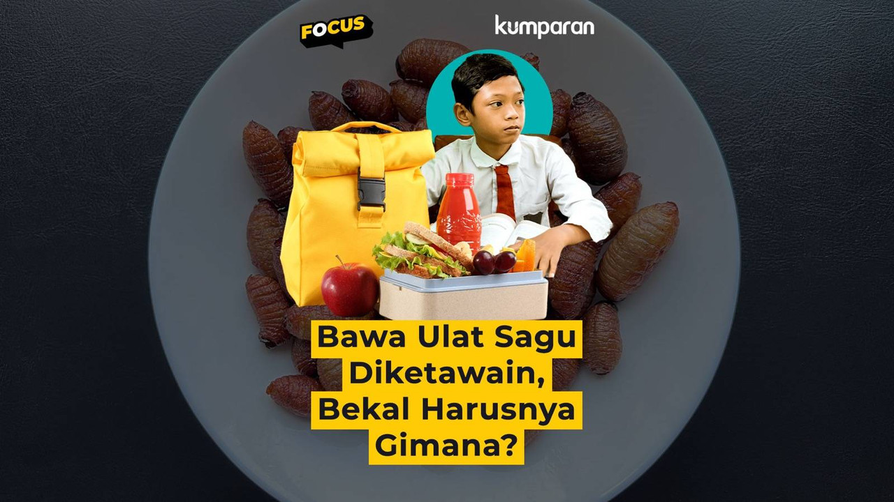 Cover Focus collection bawa bekal ulat sagu