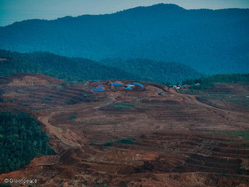 Tambang di Pulau Gag