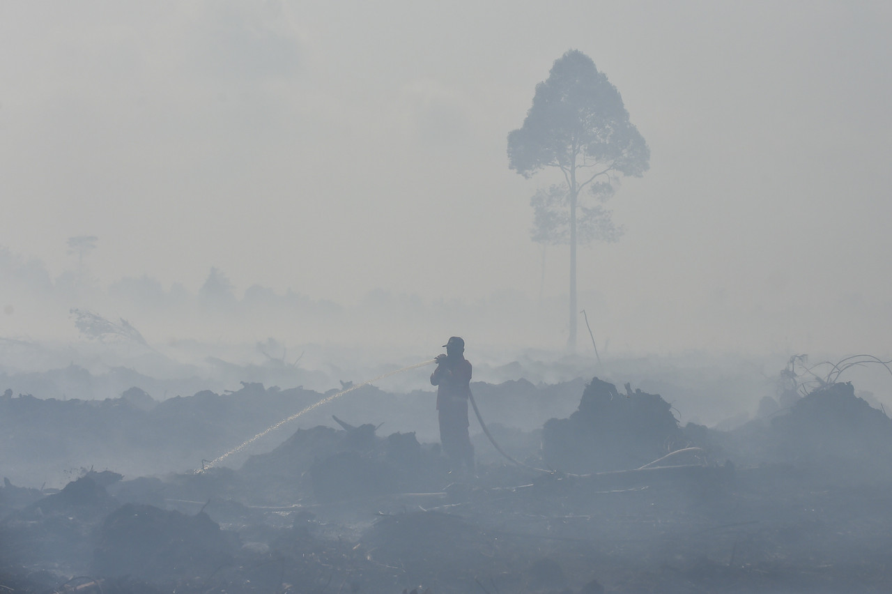 karhutla di Muaro Jambi