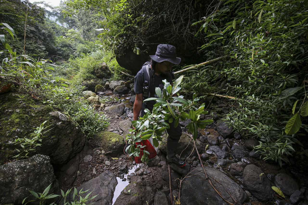 Bakti Lingkungan Djarum Foundation