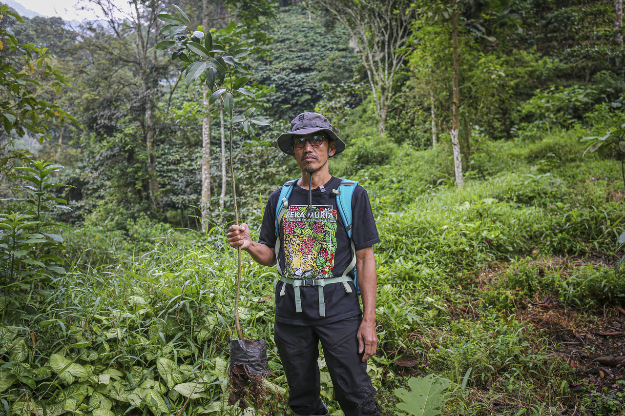 Bakti Lingkungan Djarum