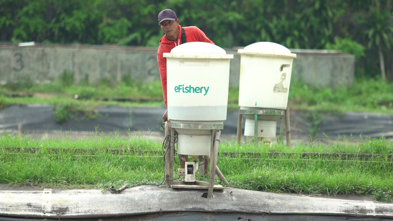 Lipsus - Kolam ikan di Kabupaten Bogor