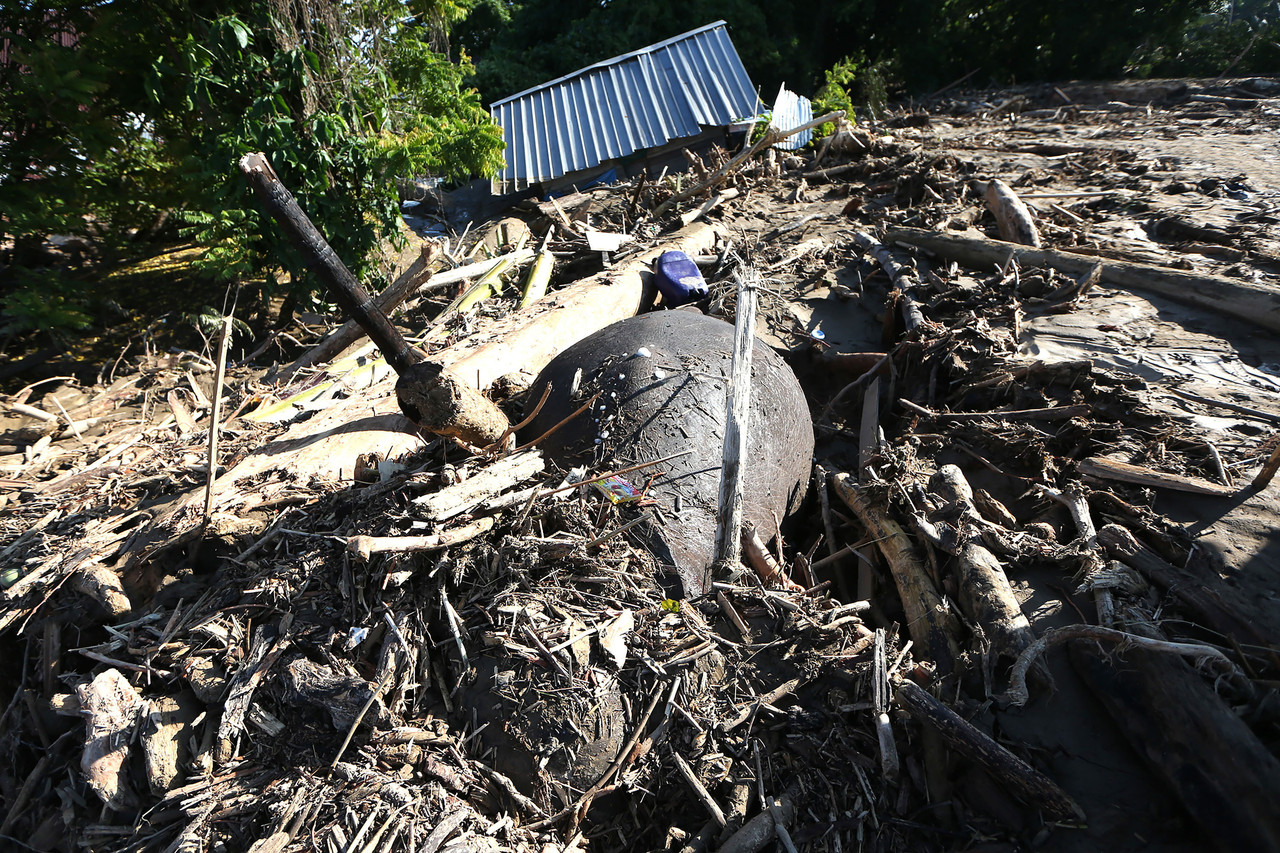 gajah mati akibat banjir di aceh