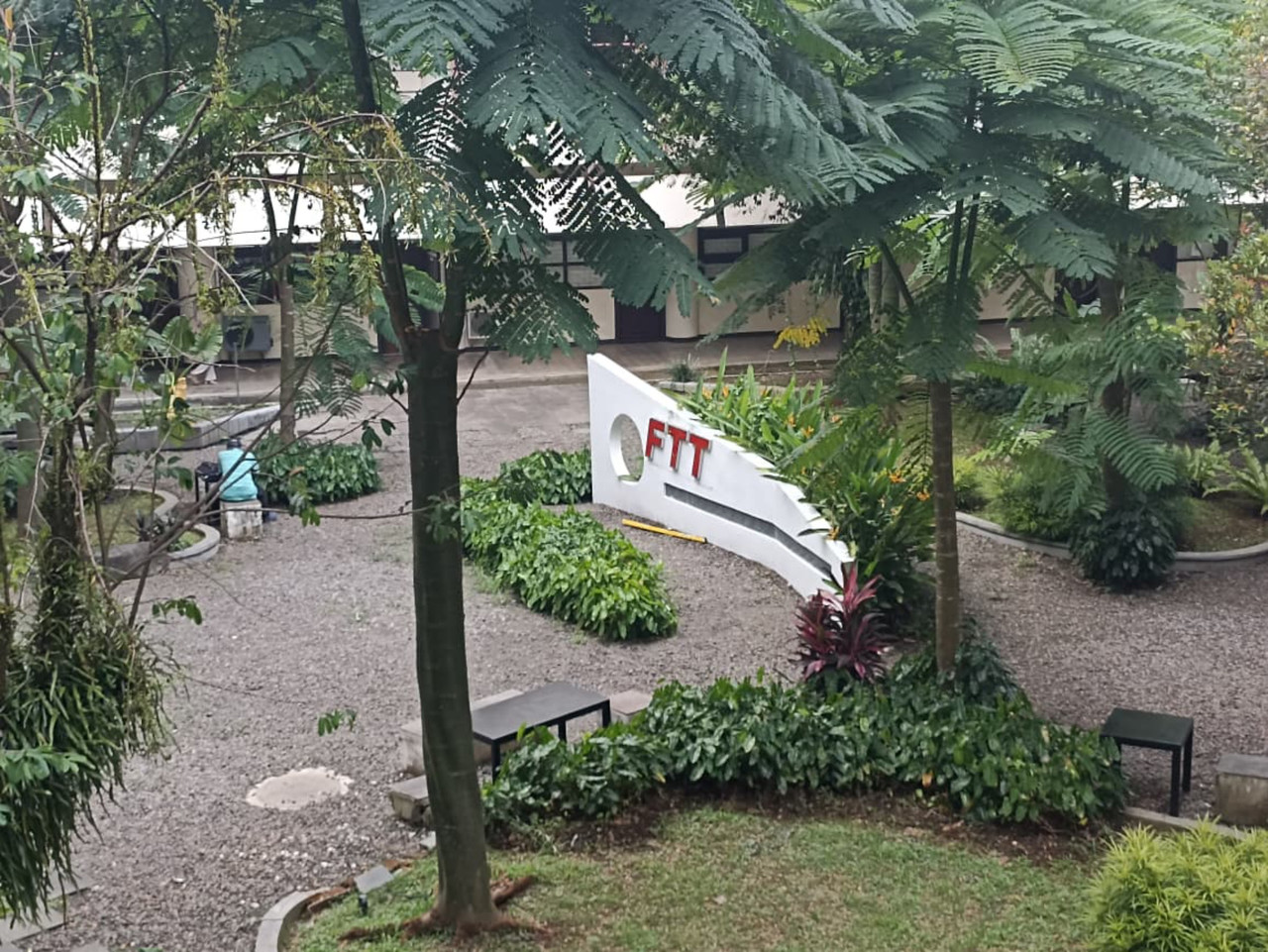 FTT IPB