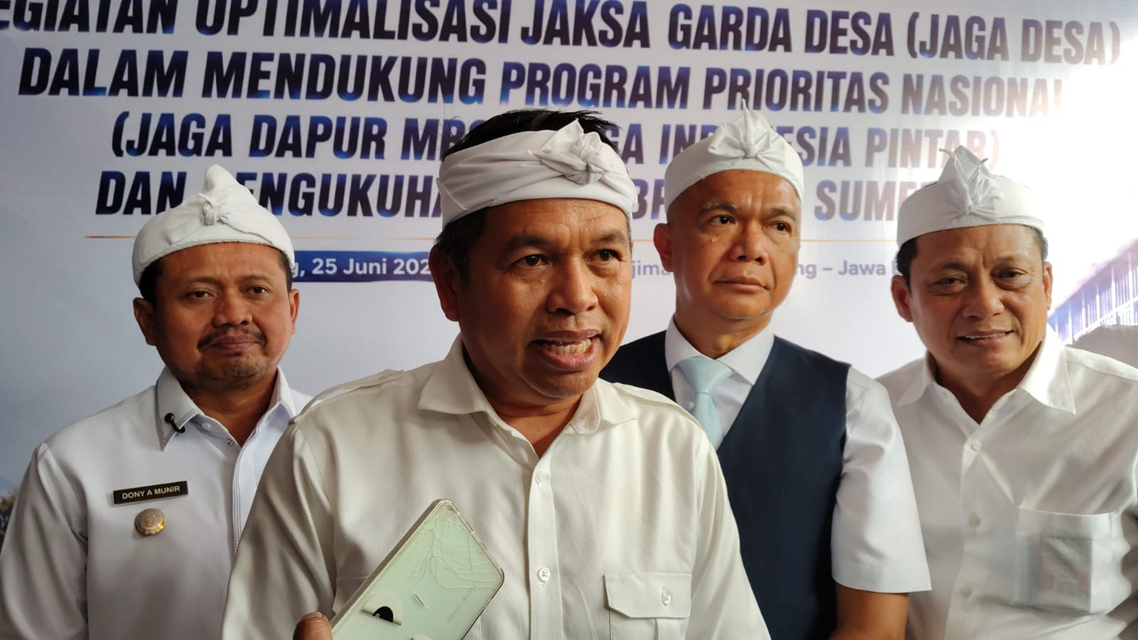 Dedi Mulyadi