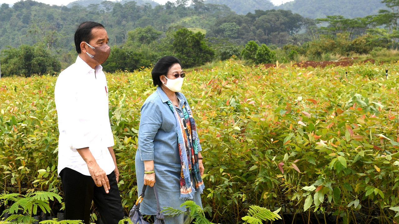 Jokowi meninjau Persemaian Modern Rumpin