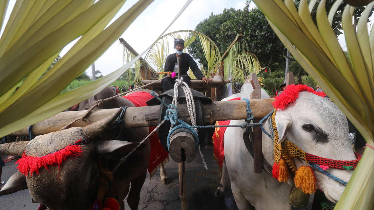Parade Cikar- Kediri