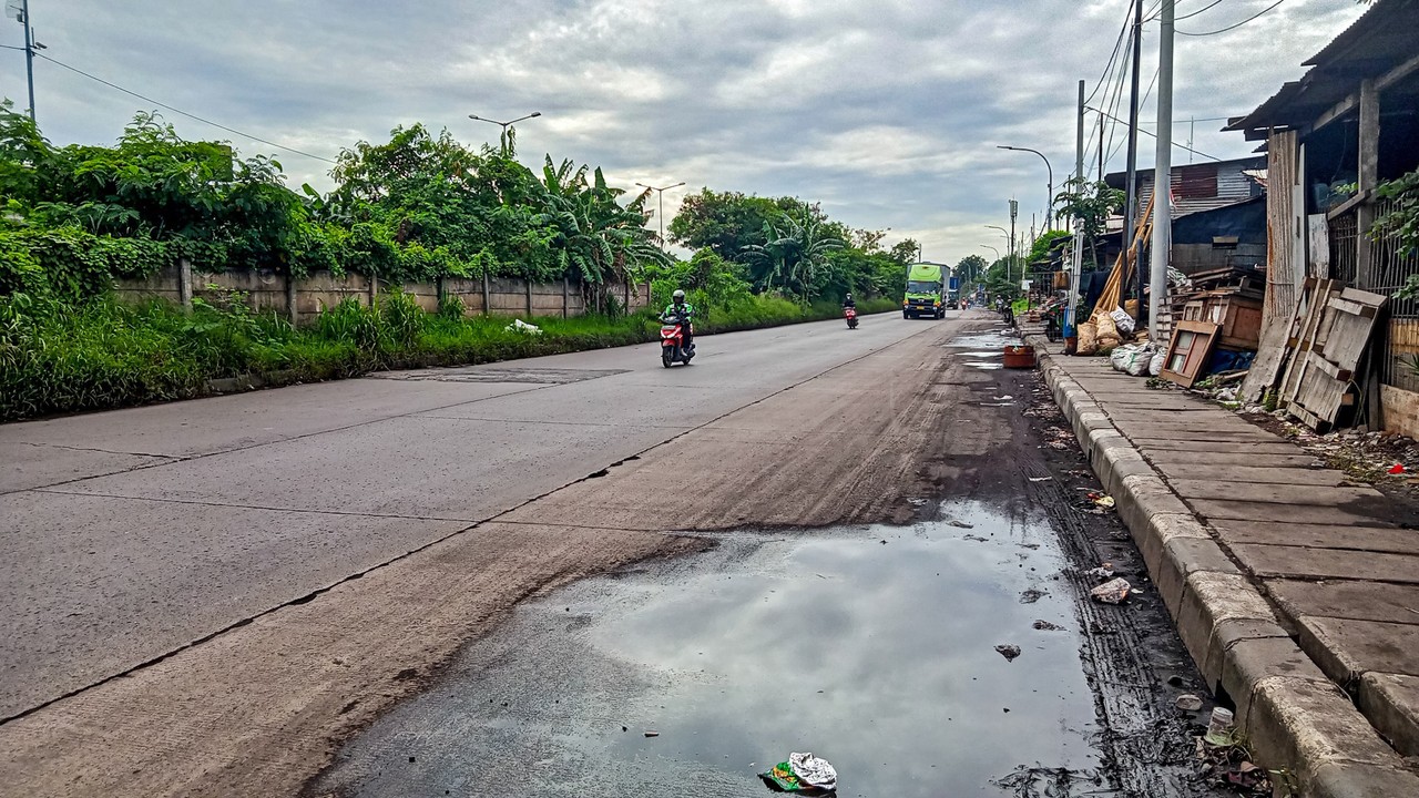 LIPSUS- kumplus- Mafia Tanah