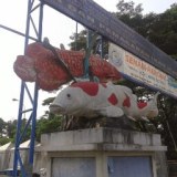 Aulia Rahmat