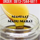 Manfaat Madu Untuk Pria Dewasa