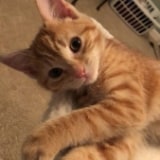 Edi Gunawan manurung