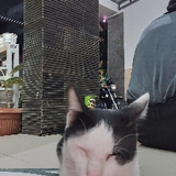 Fadjrin wira