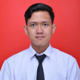 ALIFIRANDY MIRZA P