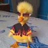 Andre Farrell Ananto