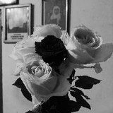 Zahra Radita Khairunnisa