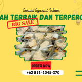 Paket Aqiqah Jakarta