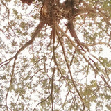 Melda Widayanti Okta