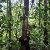 Liyanti Putri Lathifah