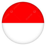 Literasi Digital Indonesia
