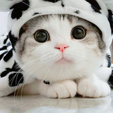 GAYUH FIKRI KHUSNAELI