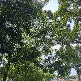 nabilmunifkurniawan23