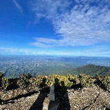 Muhammad Fadil ramadhan 