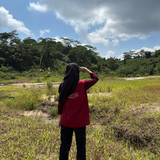 Dinda Nur Aini
