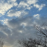 Sakina Aulia Rahma Prajoko