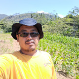 Tofan Fauzi Sulistiono