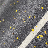 Carissa Almaasah Budita