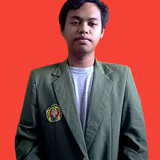 Muhamad Alfin