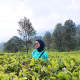 Nabila Fatmasari